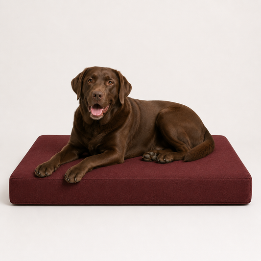 The Sloane Low-Profile Bed — Elm & Tail