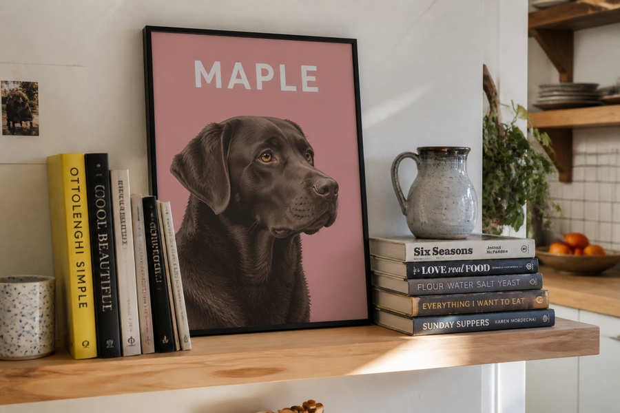 Heirloom, dusty pink, chocolate lab Maple on a kitchen shelf