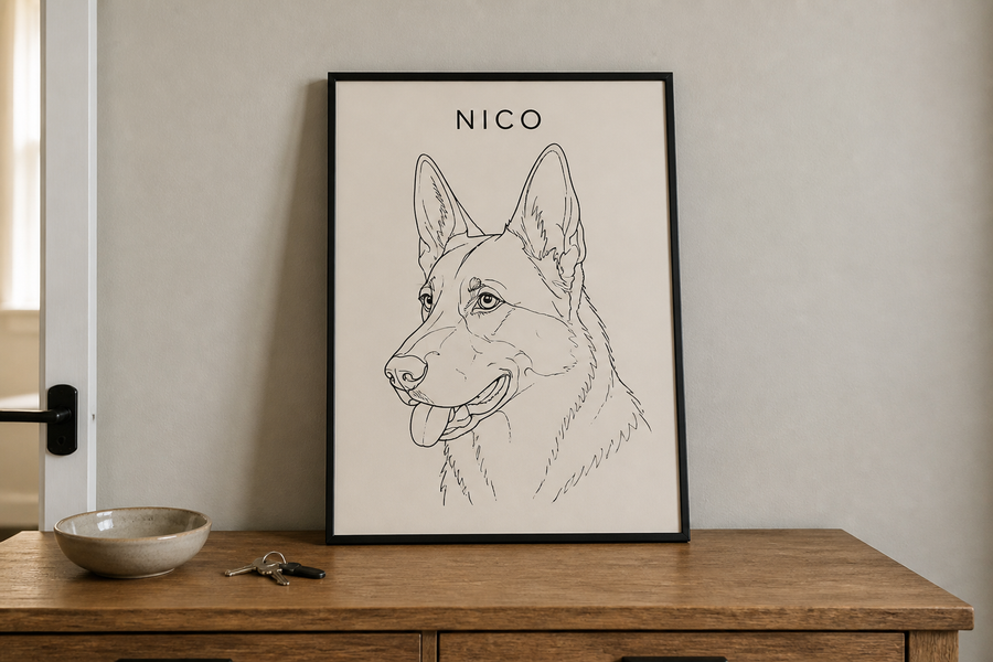 Line, shepherd Nico on an entry console