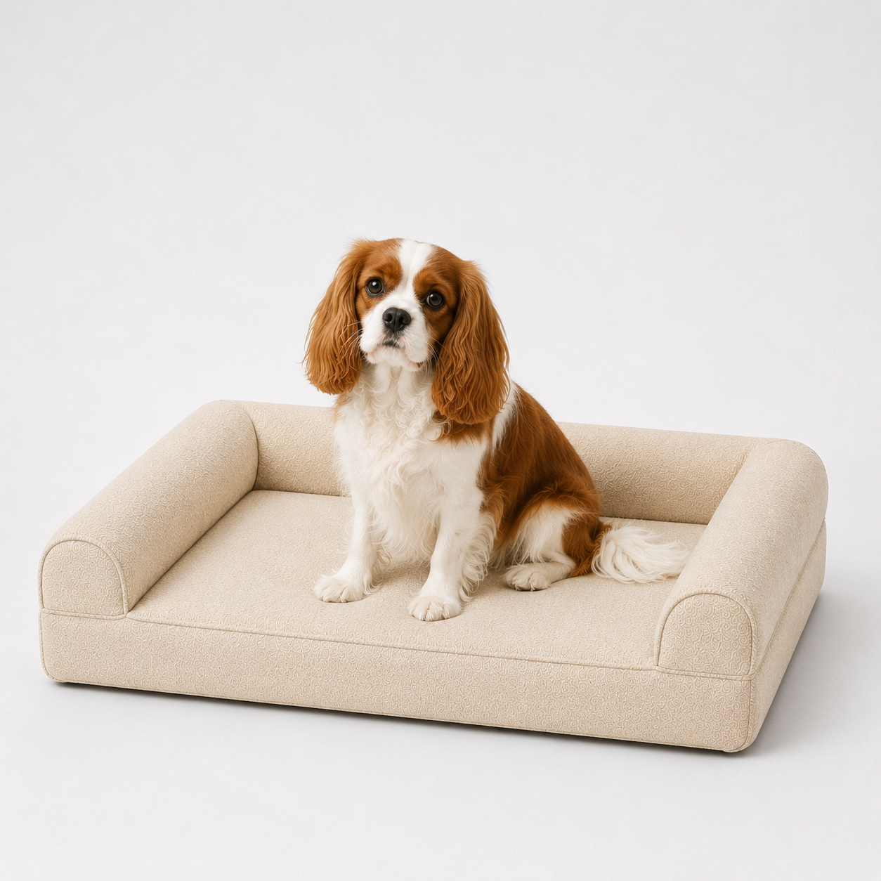 The Wilton Petite — Elm & Tail
