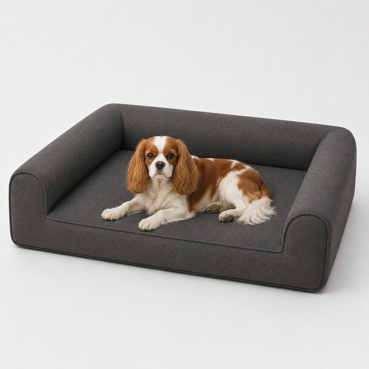 The Wilton Petite — Elm & Tail