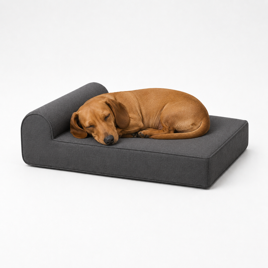 The Ashford Petite — Elm & Tail