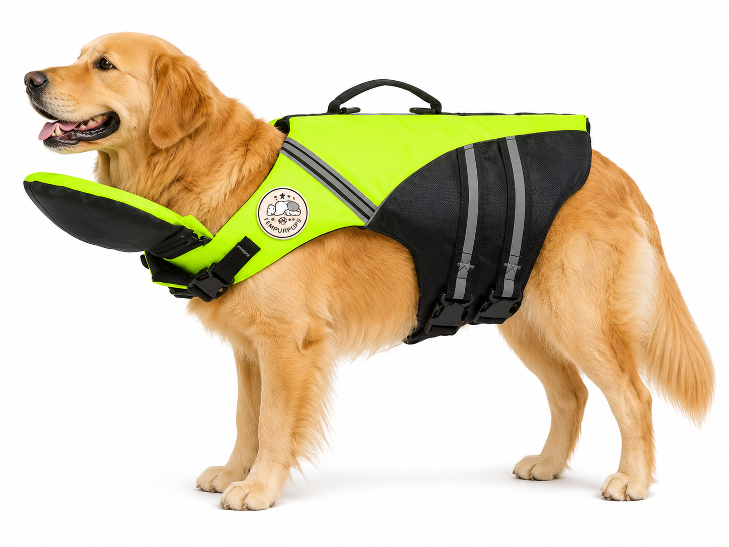 The Meridian Life Jacket — Elm & Tail