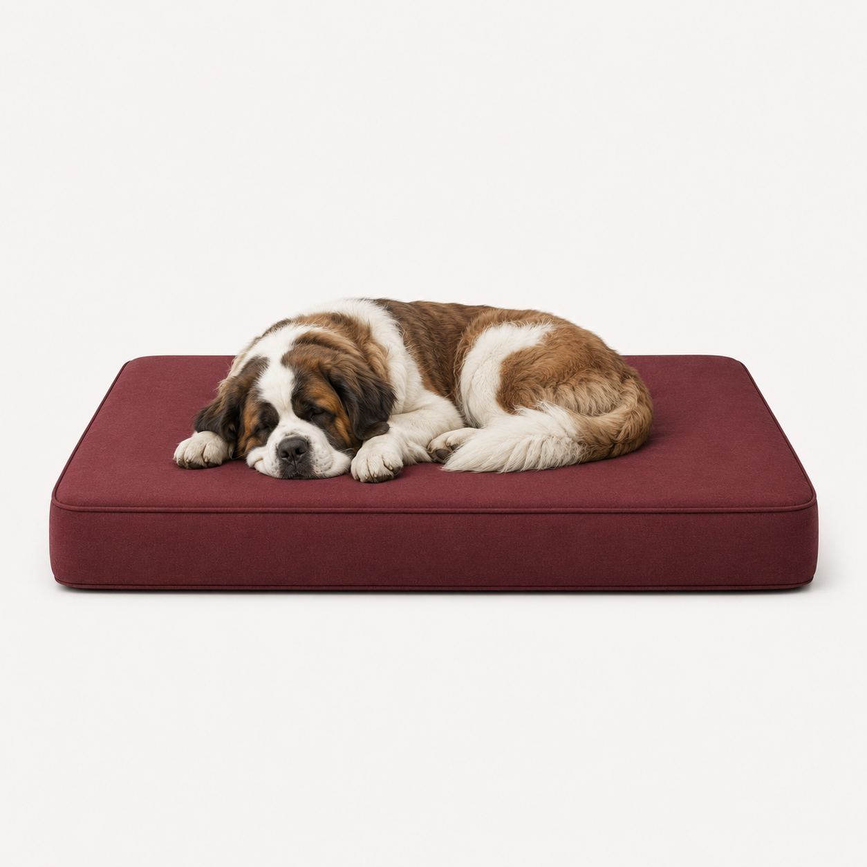 The Sloane Low-Profile Bed — Elm & Tail