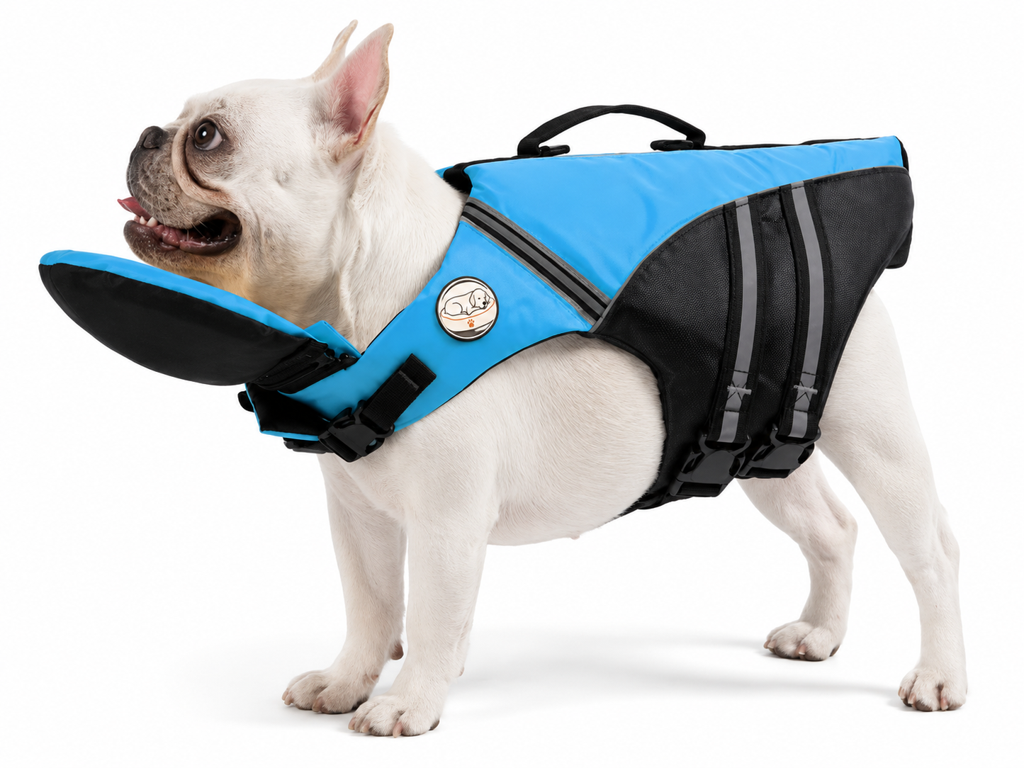 The Meridian Life Jacket — Elm & Tail