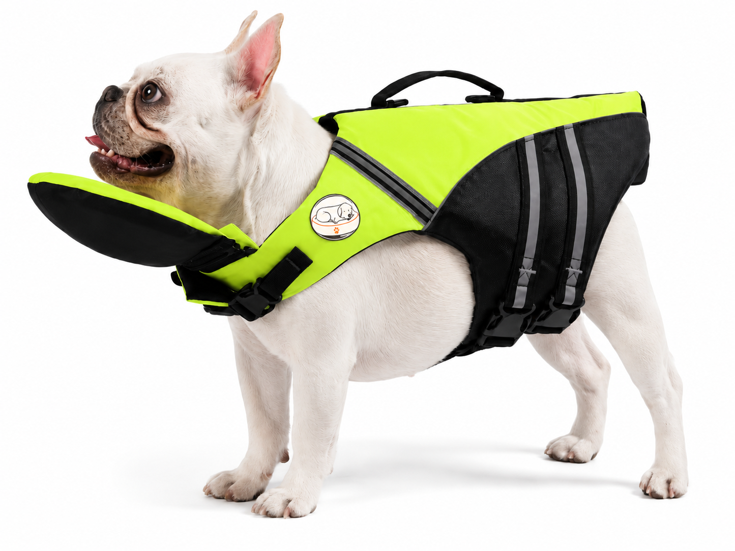 The Meridian Life Jacket — Elm & Tail