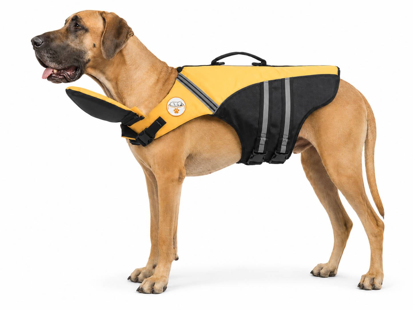 The Meridian Life Jacket — Elm & Tail