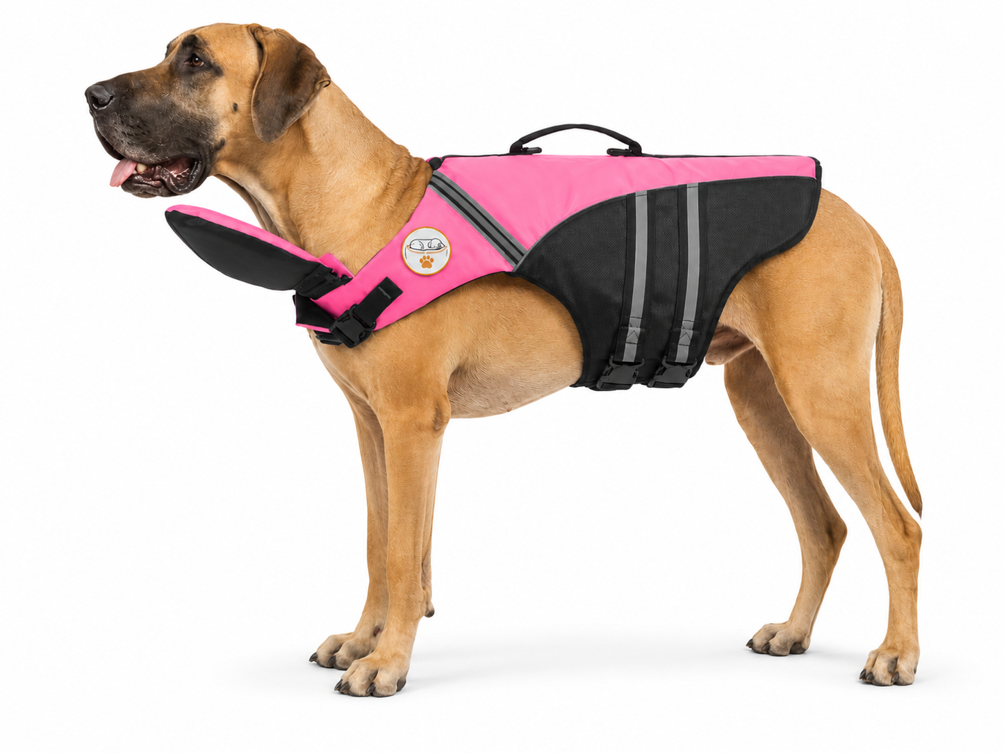 The Meridian Life Jacket — Elm & Tail