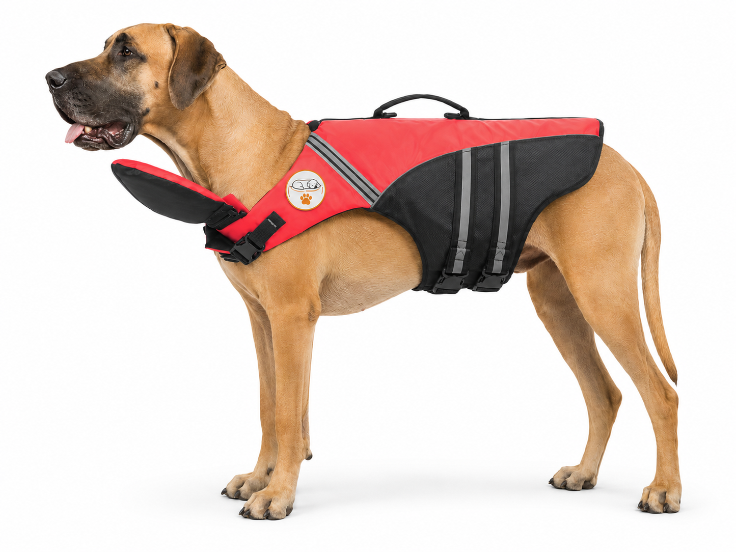 The Meridian Life Jacket — Elm & Tail