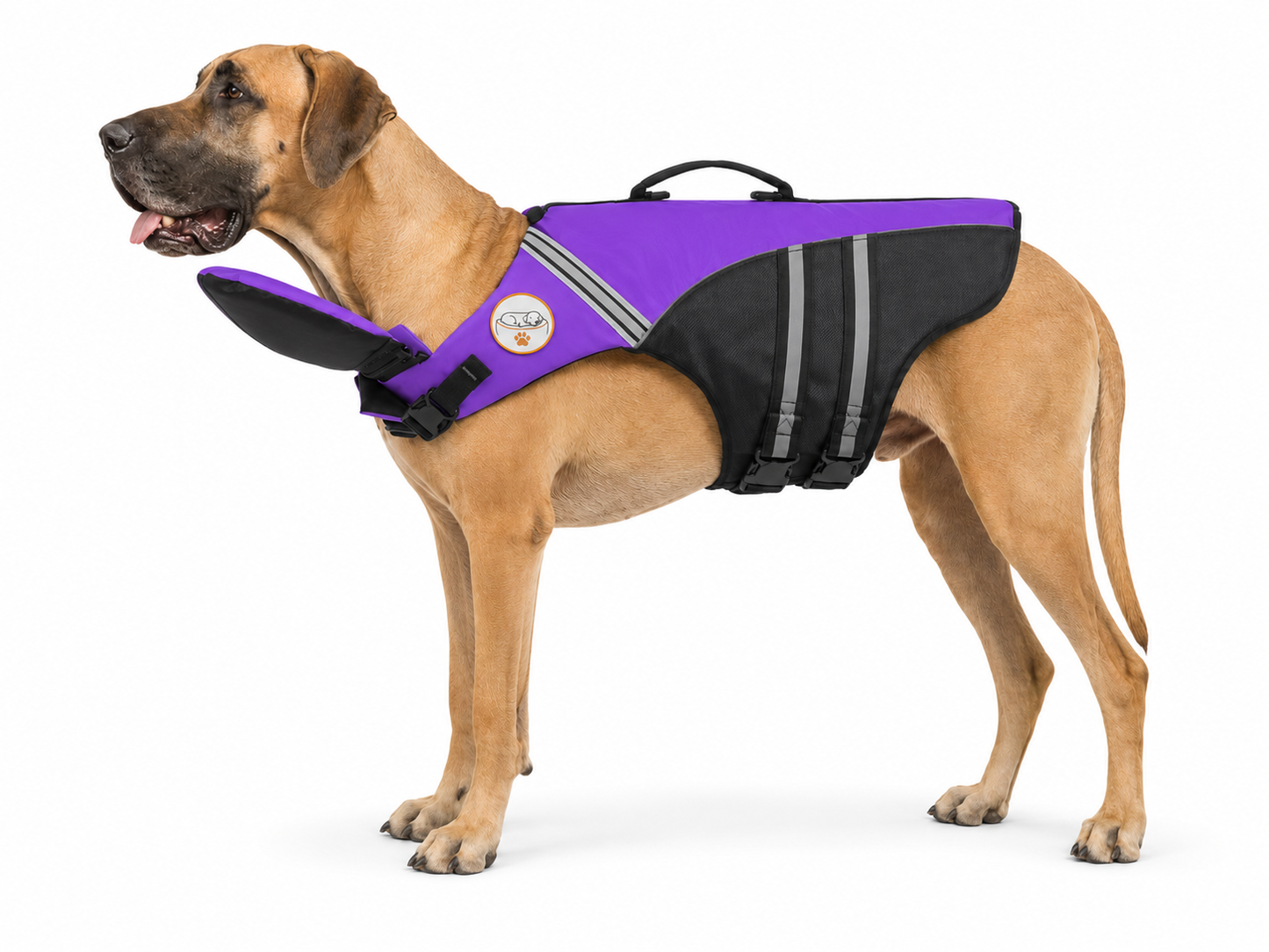 The Meridian Life Jacket — Elm & Tail