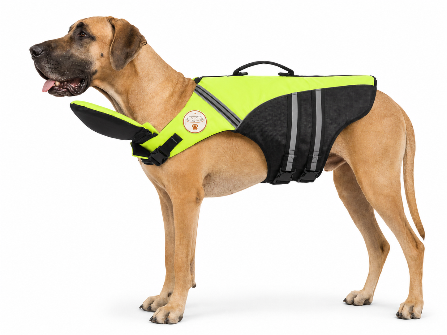 The Meridian Life Jacket — Elm & Tail