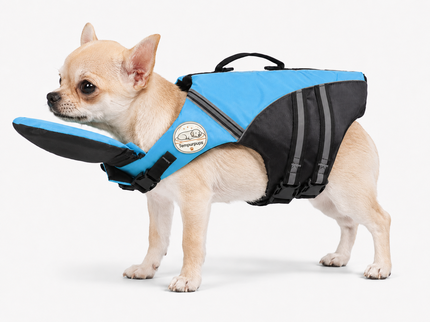 The Meridian Life Jacket — Elm & Tail