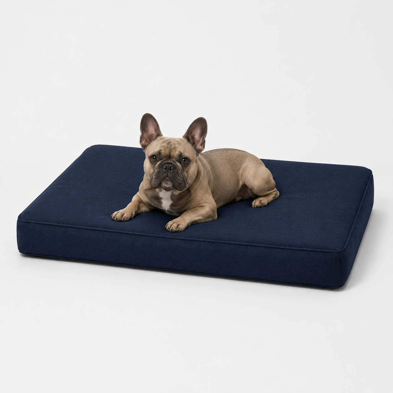 The Sloane Petite — Elm & Tail