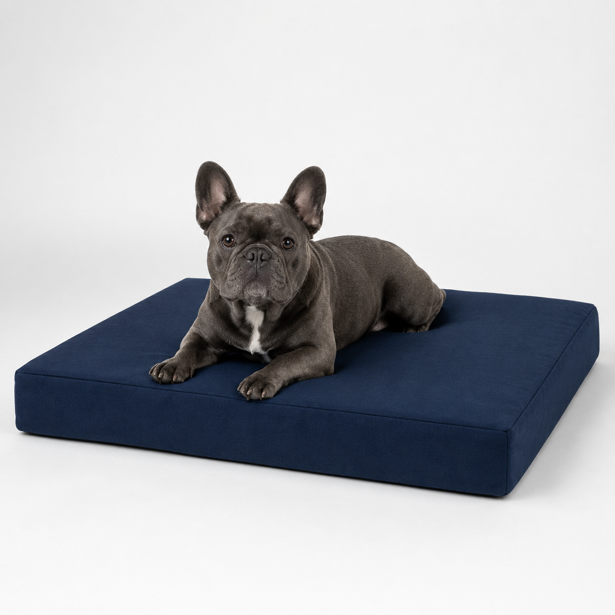 The Sloane Petite — Elm & Tail