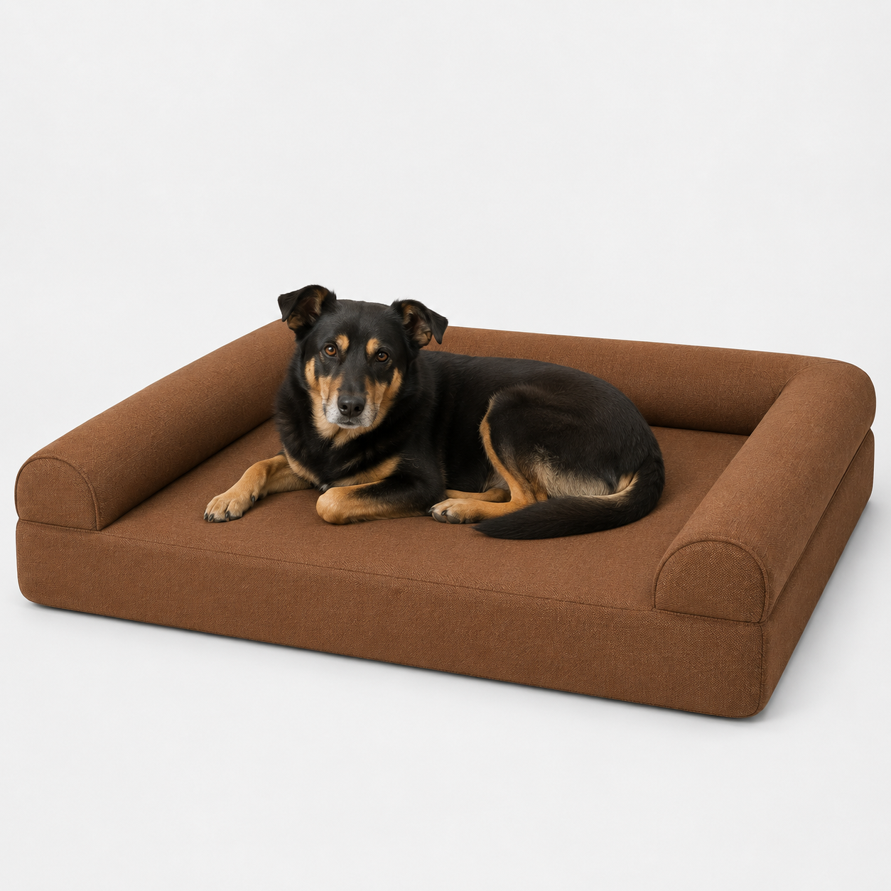 The Wilton Sofa Bed — Elm & Tail