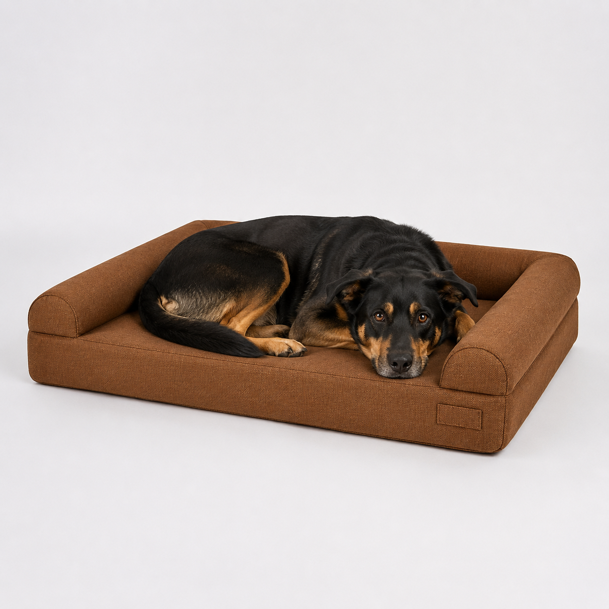 The Wilton Sofa Bed — Elm & Tail