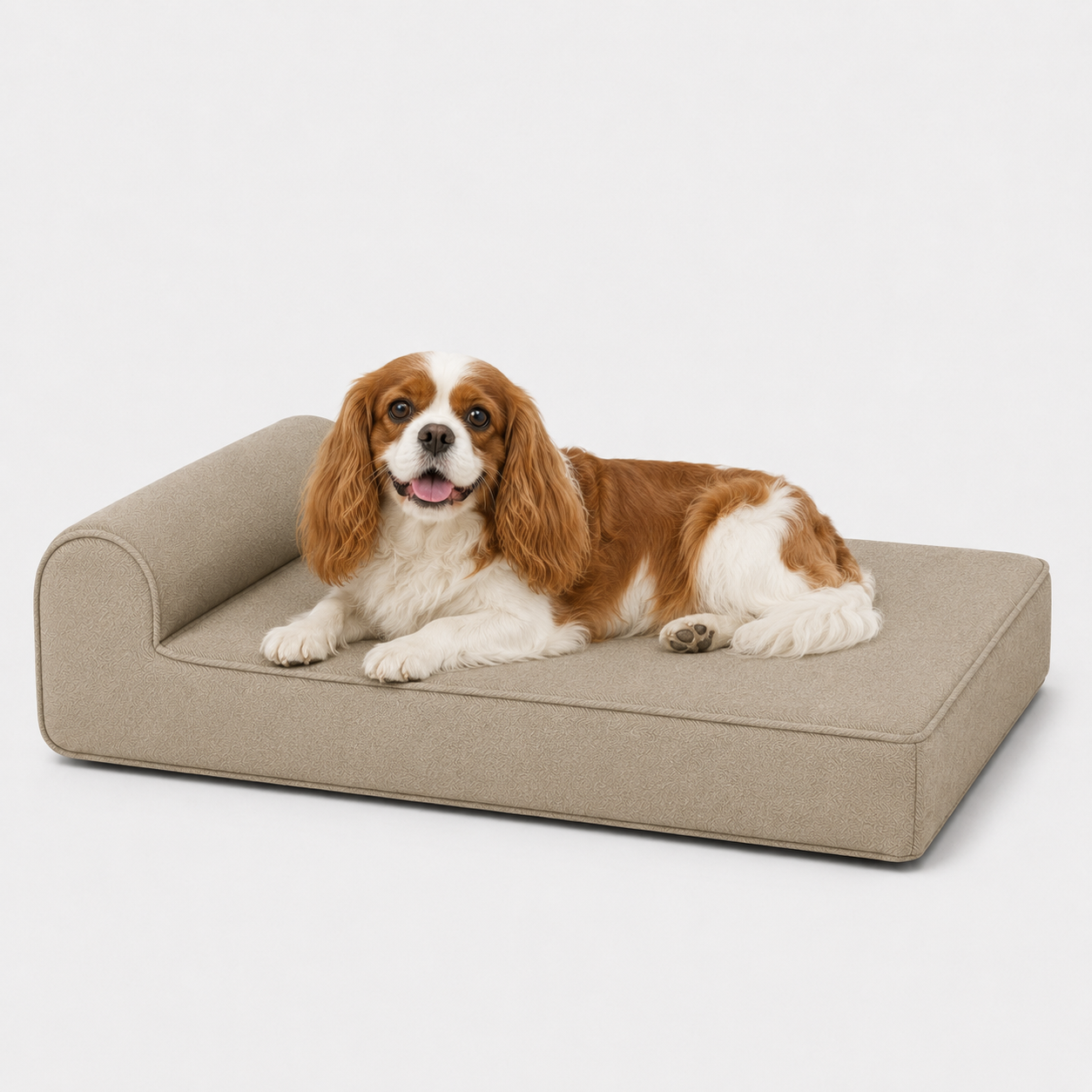 The Ashford Petite — Elm & Tail