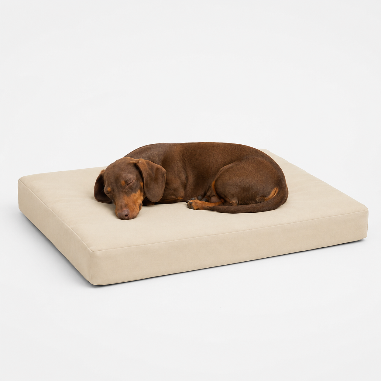 The Sloane Petite — Elm & Tail