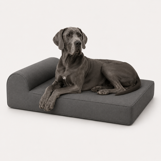 The Ashford Headrest Bed — Elm & Tail