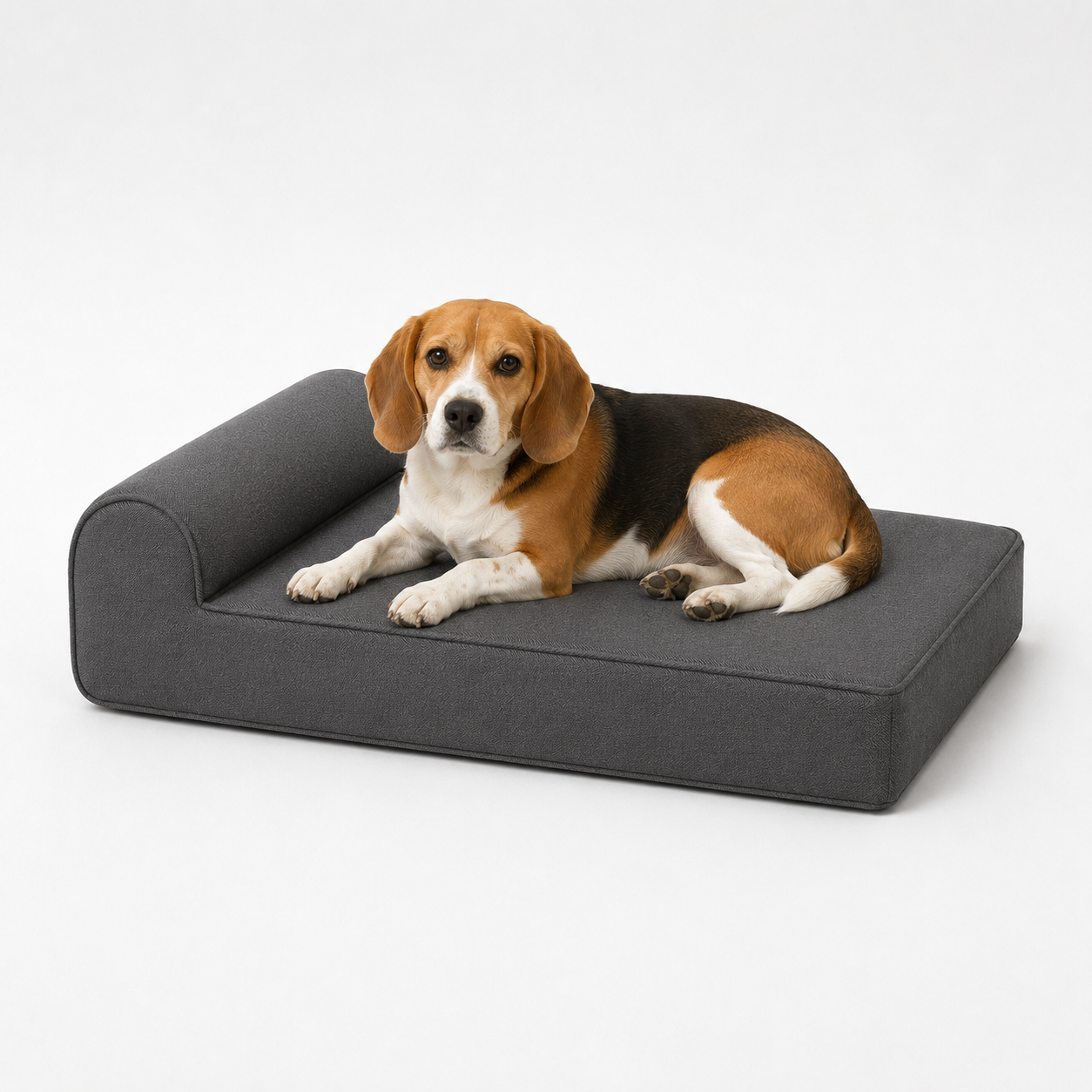The Ashford Petite — Elm & Tail