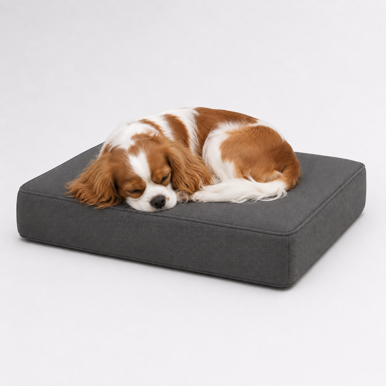 The Sloane Petite — Elm & Tail