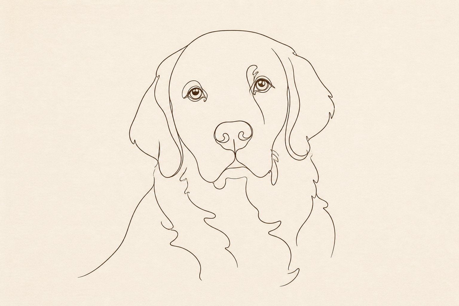 The Line Portrait
