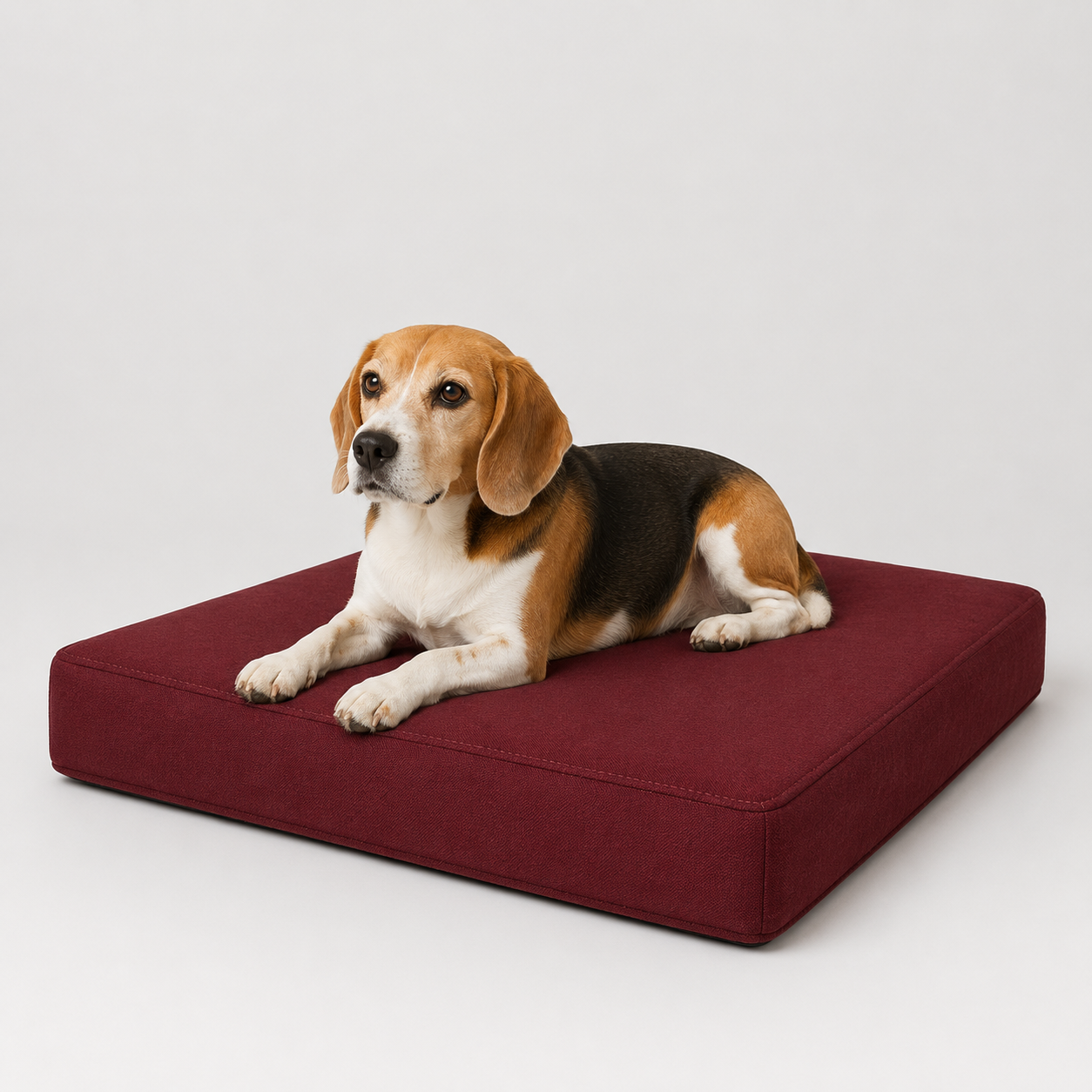 The Sloane Petite — Elm & Tail