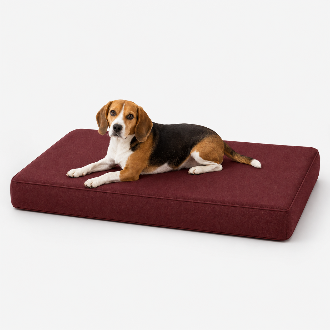 The Sloane Petite — Elm & Tail