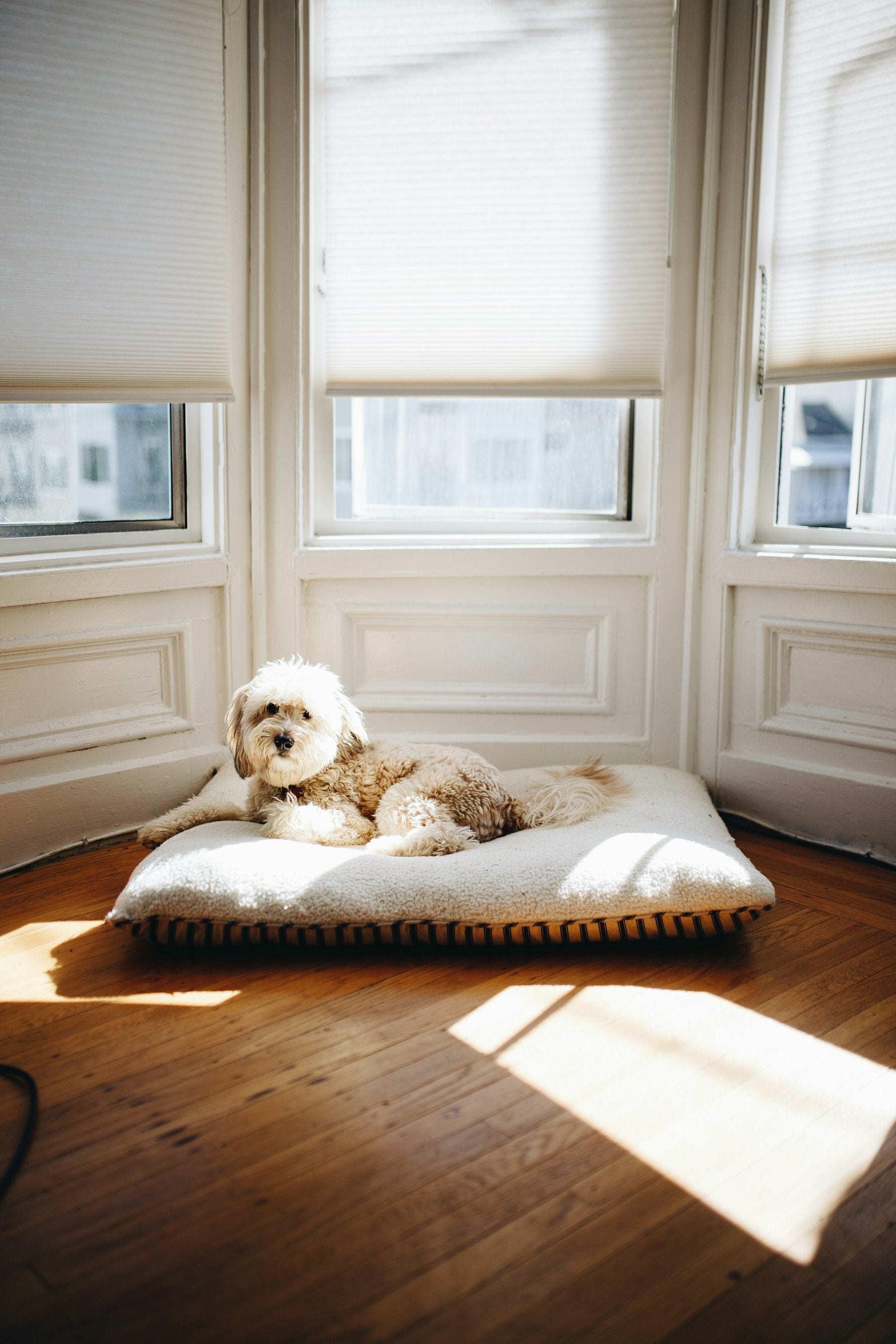 An heirloom for the home you have made together