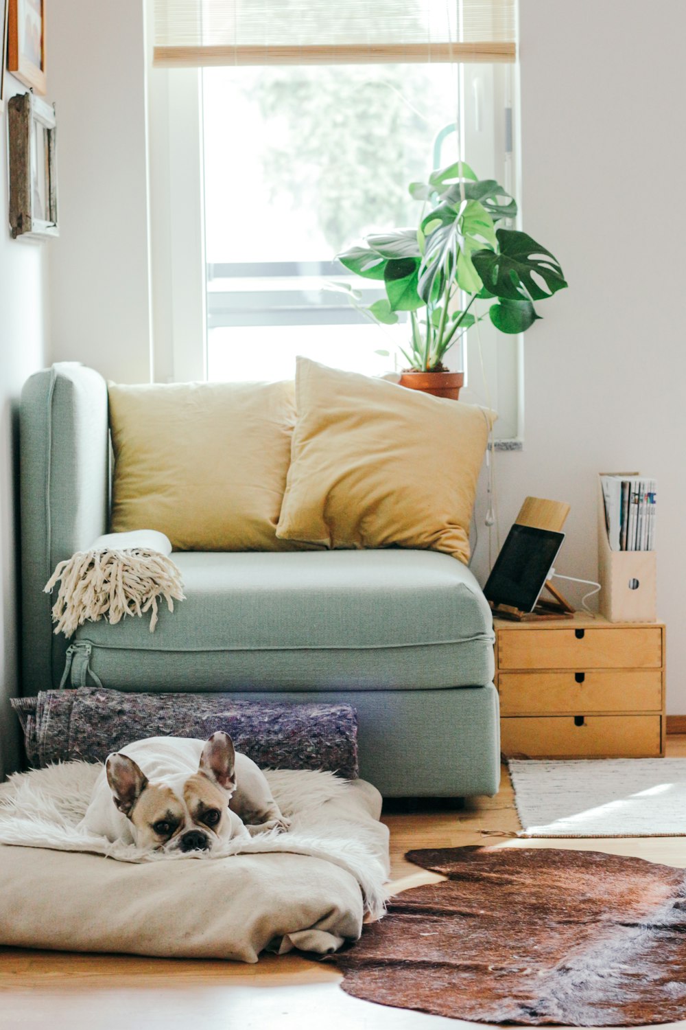 Upholstered like furniture, because it is furniture.
